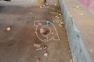  La Estación de Guaguas de Telde, un chiquero (Foto TA)